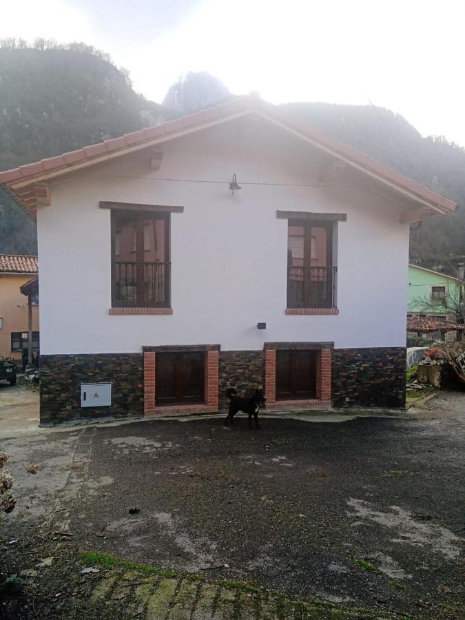 Casa Rural Gueilones, Parque Natural De Ponga Sobrefoz Exteriér fotografie